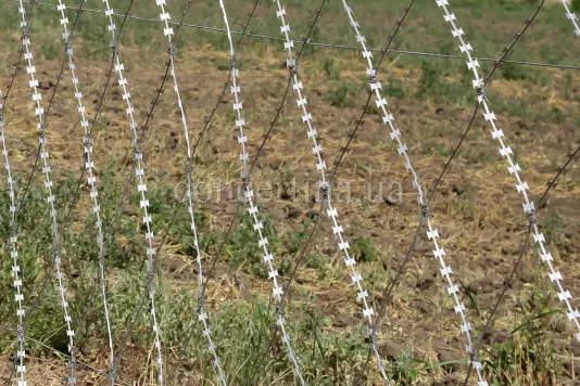 Piranha barbed fence