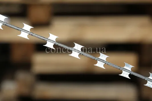 Barbed wire Concertina